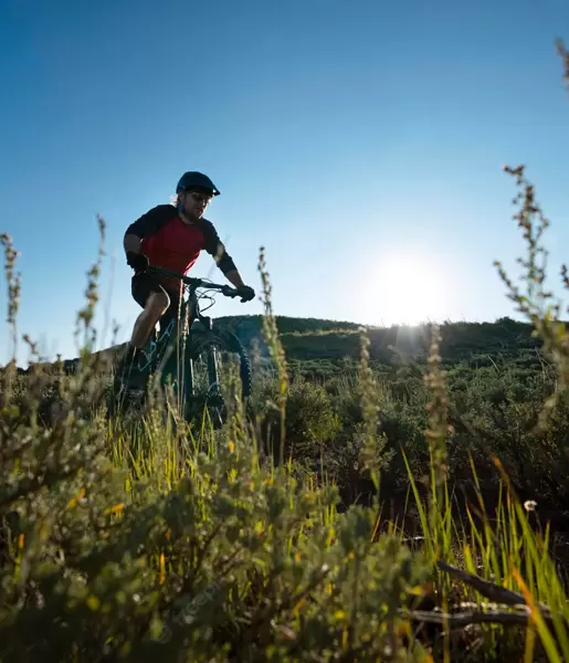 Tour con e-bike sulle colline del Chianti