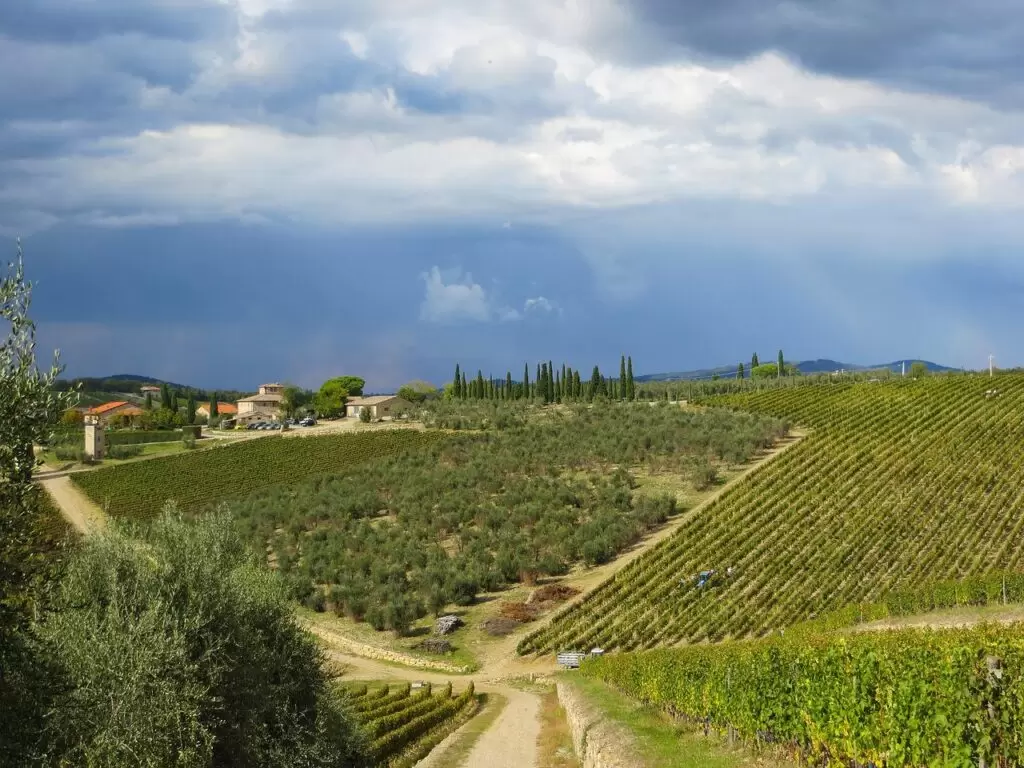 Paesaggio toscano con colline del Chianti Paesaggio toscano con colline del Chianti